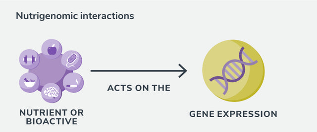 what is nutrigenomics