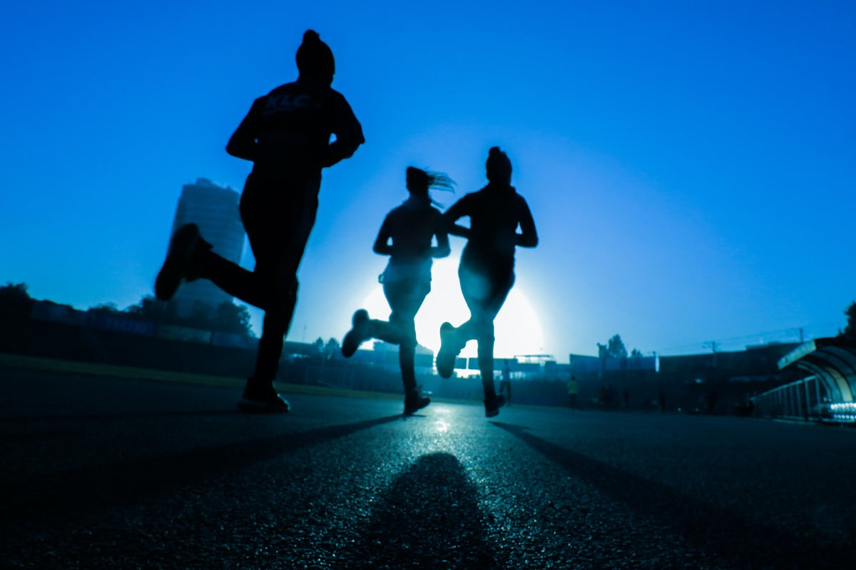 What Are DNA Fitness Tests and How Do They Work? A Guide