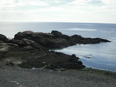 DNA testing in Biddeford, Maine