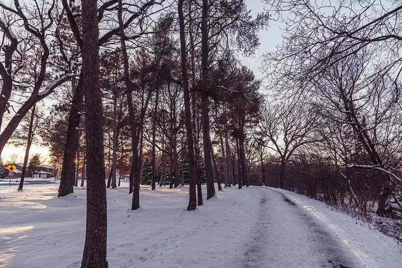 Brooklyn Park