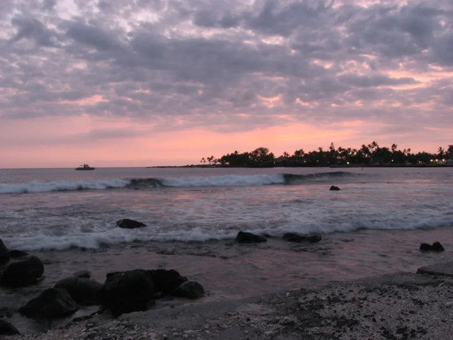 DNA testing in Kailua, Hawaii
