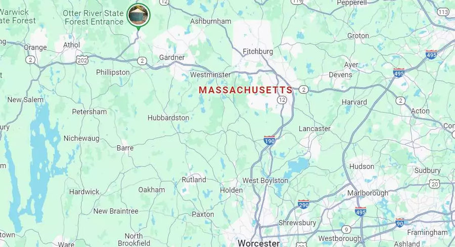 DNA testing in Massachusetts
