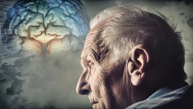 Memory Less Person 6 Powerful Ways to Prevent Memory Loss and Stay Sharp – 3X4 Genetics