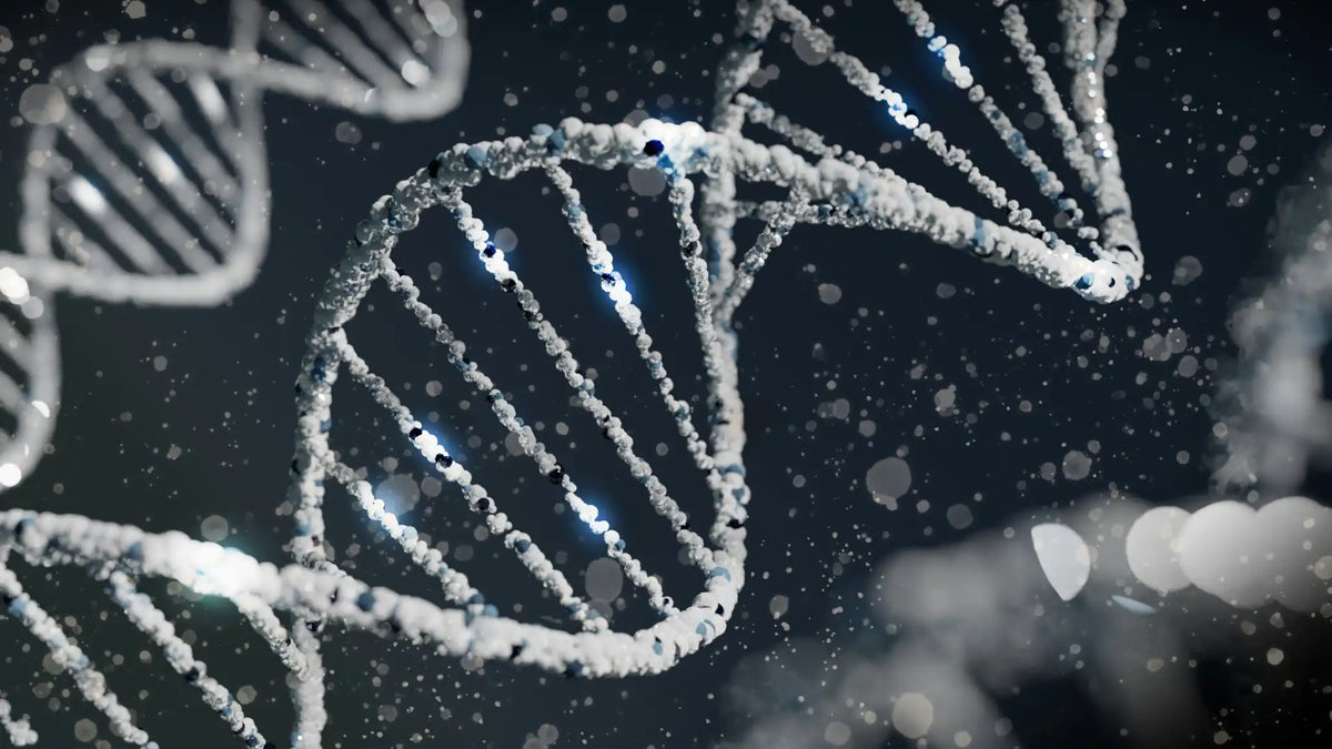 Folate-Producing Bifidobacteria: Metabolism, Genetics, and Relevance