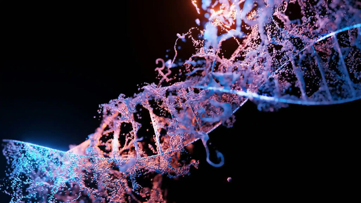 Illustration showing the process of adipogenesis and the impact of DNA methylation on fat cell development and gene expression.