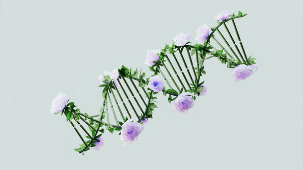 The Genetics of Stress: How Cortisol Impacts Your DNA and Methylation