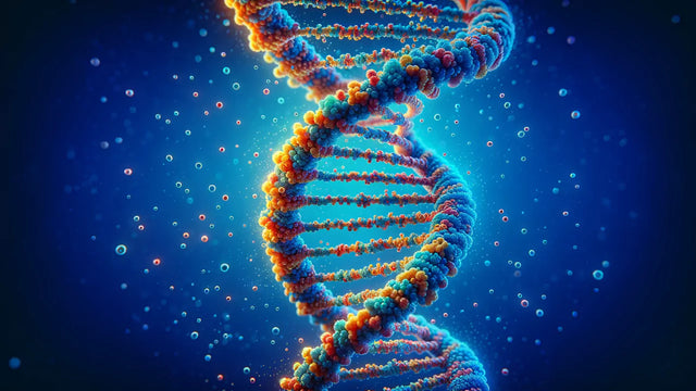 The ABCs of DNA Methylation and a Happy, Healthy You!