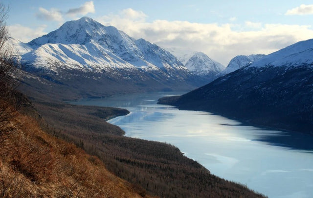 DNA testing in Anchorage, Alaska