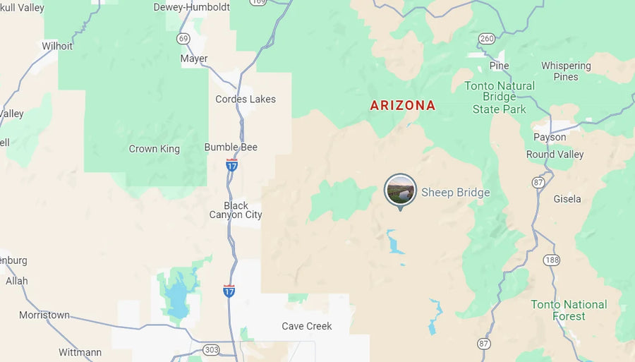 DNA testing in Arizona