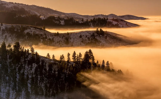 DNA testing in Boise, Idaho
