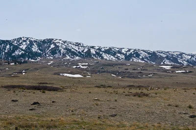 DNA testing in Casper, Wyoming