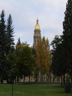 DNA testing in Cheyenne, Wyoming