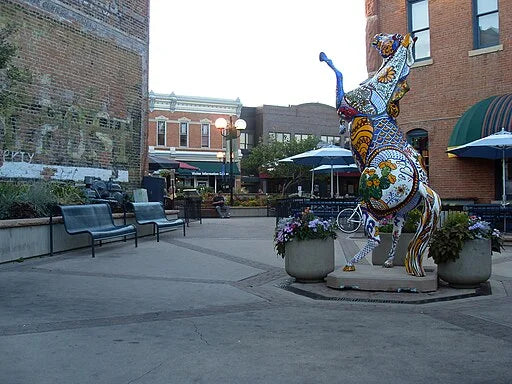 DNA testing in Fort Collins, Colorado
