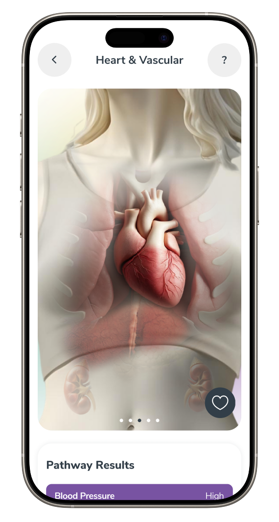 Heart & Vascular Image