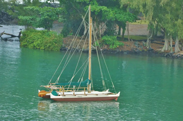 DNA testing in Hilo, Hawaii