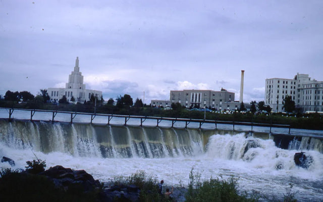 DNA testing in Idaho Falls, Idaho