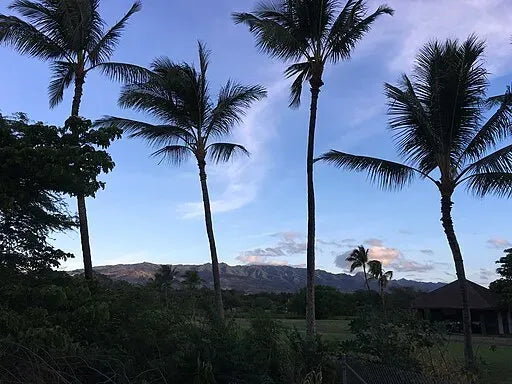 DNA testing in Kaneohe, Hawaii