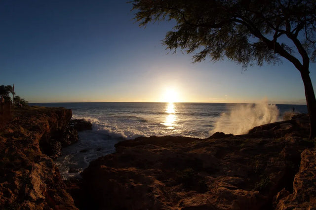 DNA testing in Kapolei, Hawaii
