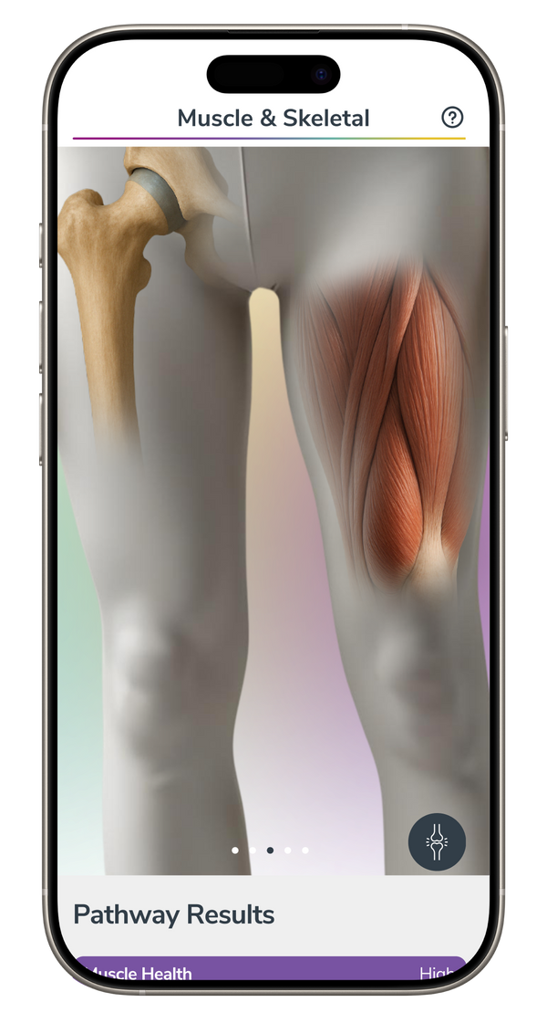 Muscle & Skeletal Health Image