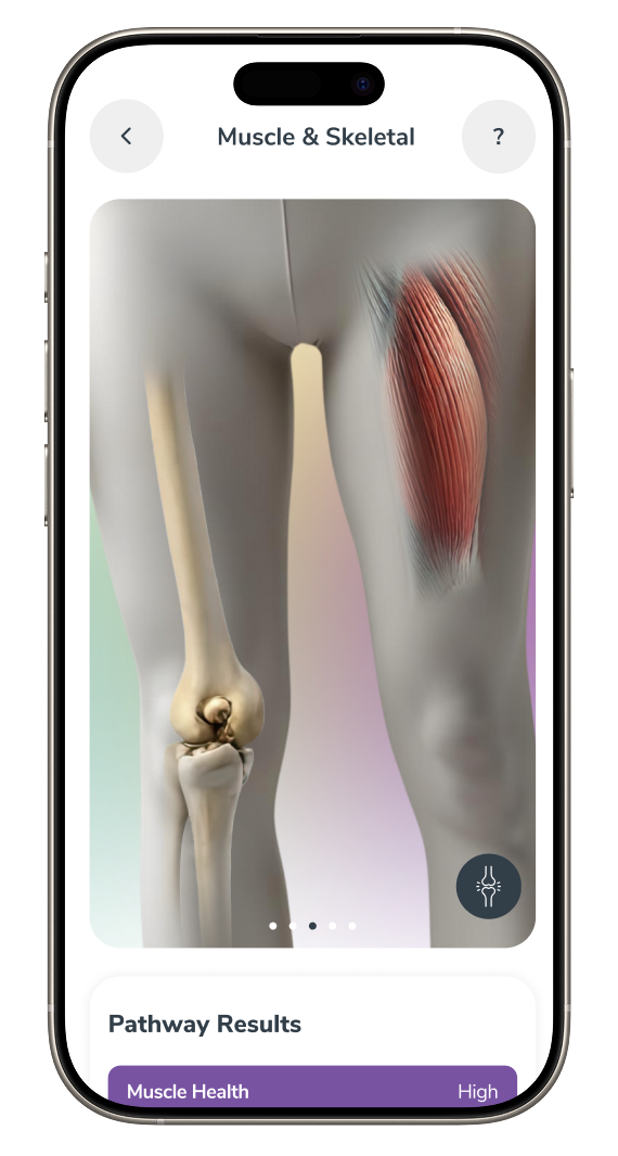 Muscle & Skeletal Health Image