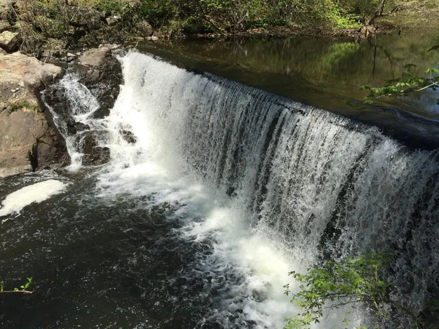 DNA testing in Norwalk, Connecticut