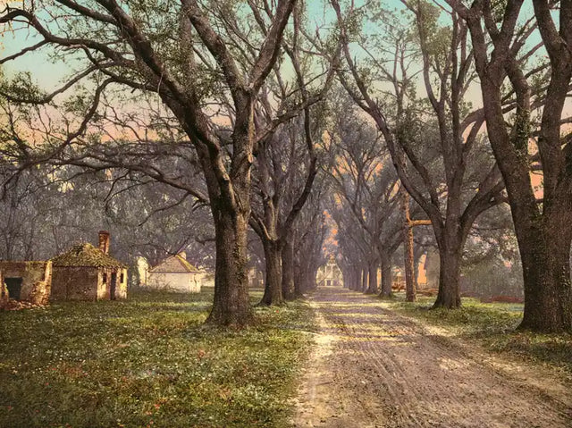 DNA testing in Savannah, Georgia