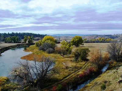 DNA testing in Sheridan, Wyoming