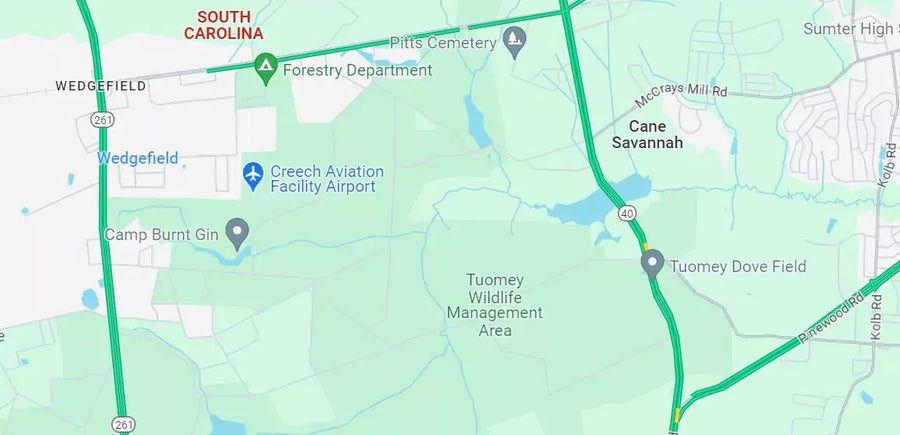 DNA testing in South Carolina