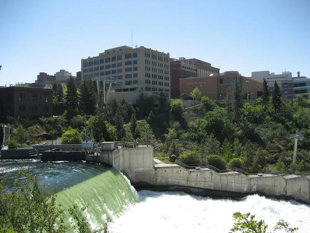 DNA testing in Spokane, Washington