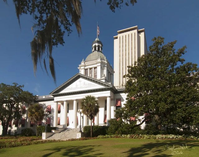 DNA testing in Tallahassee, Florida