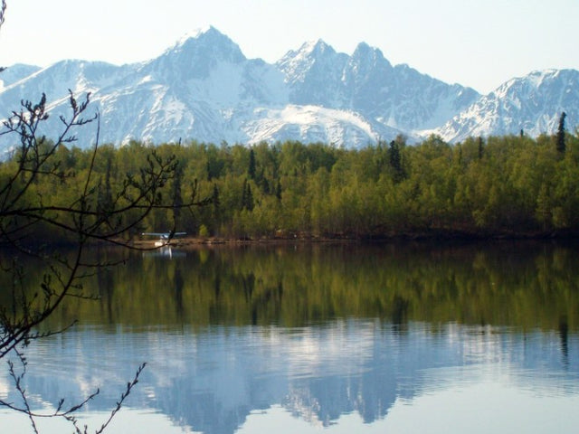 DNA testing in Wasilla, Alaska
