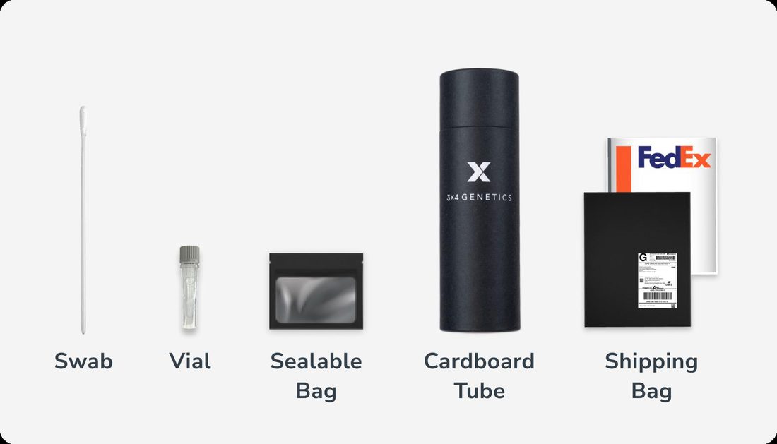 3X4 DNA Sample Kit contents: swab, vial, sealable bag, cardboard tube and shipping bag