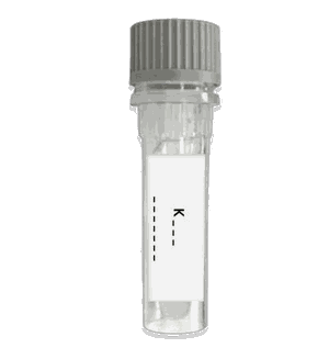 3X4 collection vial with the kit code printed on the label